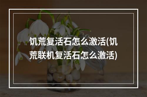 饥荒复活石怎么激活(饥荒联机复活石怎么激活)