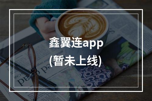 鑫翼连app(暂未上线)