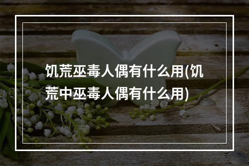 饥荒巫毒人偶有什么用(饥荒中巫毒人偶有什么用)