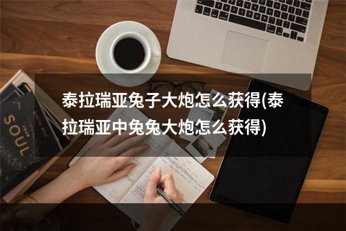 泰拉瑞亚兔子大炮怎么获得(泰拉瑞亚中兔兔大炮怎么获得)