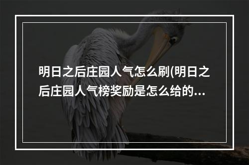 明日之后庄园人气怎么刷(明日之后庄园人气榜奖励是怎么给的)