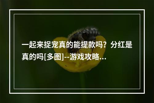 一起来捉宠真的能提款吗？分红是真的吗[多图]--游戏攻略网