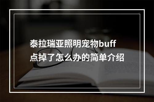 泰拉瑞亚照明宠物buff点掉了怎么办的简单介绍