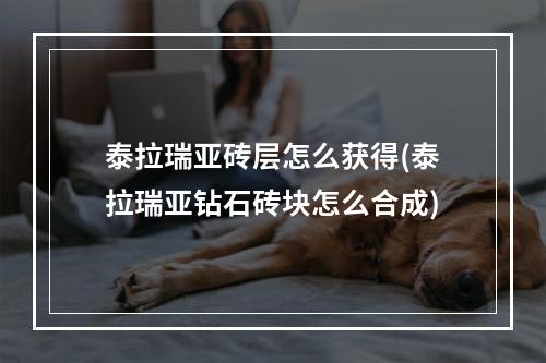 泰拉瑞亚砖层怎么获得(泰拉瑞亚钻石砖块怎么合成)