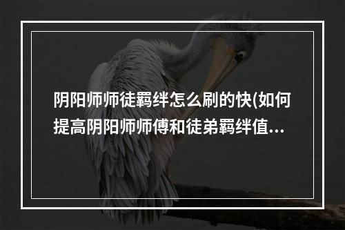 阴阳师师徒羁绊怎么刷的快(如何提高阴阳师师傅和徒弟羁绊值)