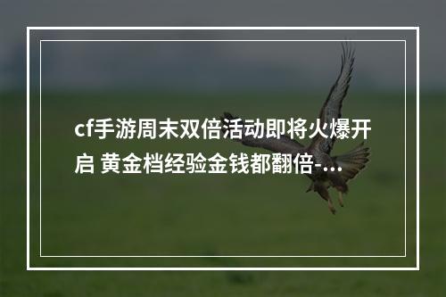 cf手游周末双倍活动即将火爆开启 黄金档经验金钱都翻倍--游戏攻略网