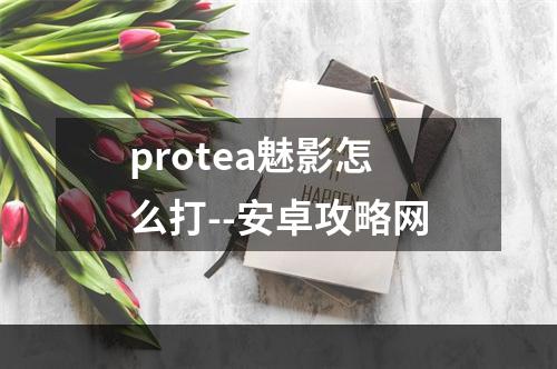 protea魅影怎么打--安卓攻略网