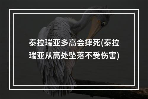 泰拉瑞亚多高会摔死(泰拉瑞亚从高处坠落不受伤害)