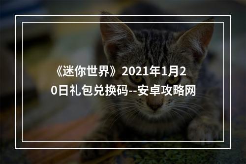 《迷你世界》2021年1月20日礼包兑换码--安卓攻略网