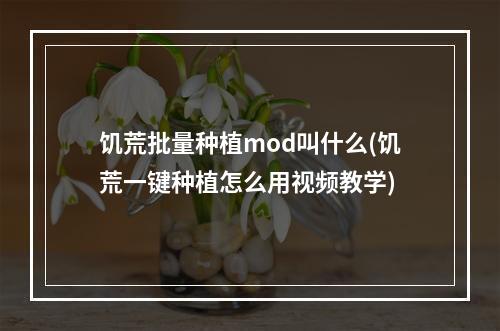 饥荒批量种植mod叫什么(饥荒一键种植怎么用视频教学)