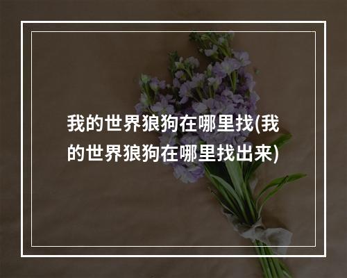 我的世界狼狗在哪里找(我的世界狼狗在哪里找出来)