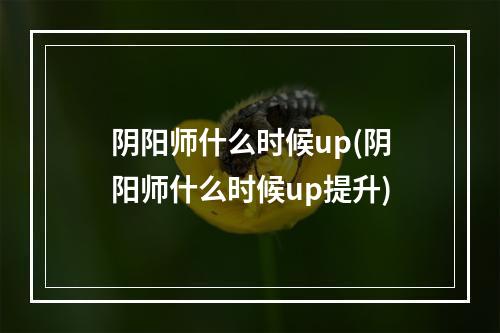 阴阳师什么时候up(阴阳师什么时候up提升)