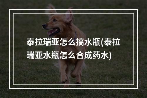 泰拉瑞亚怎么搞水瓶(泰拉瑞亚水瓶怎么合成药水)