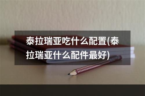 泰拉瑞亚吃什么配置(泰拉瑞亚什么配件最好)