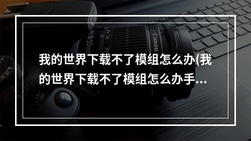 我的世界下载不了模组怎么办(我的世界下载不了模组怎么办手机版)