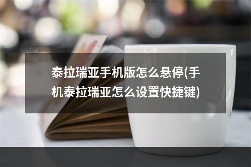 泰拉瑞亚手机版怎么悬停(手机泰拉瑞亚怎么设置快捷键)