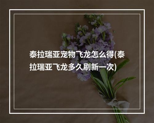 泰拉瑞亚宠物飞龙怎么得(泰拉瑞亚飞龙多久刷新一次)