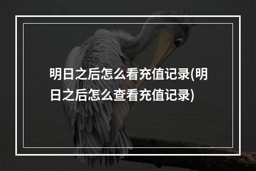 明日之后怎么看充值记录(明日之后怎么查看充值记录)