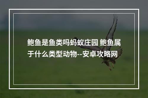 鲍鱼是鱼类吗蚂蚁庄园 鲍鱼属于什么类型动物--安卓攻略网