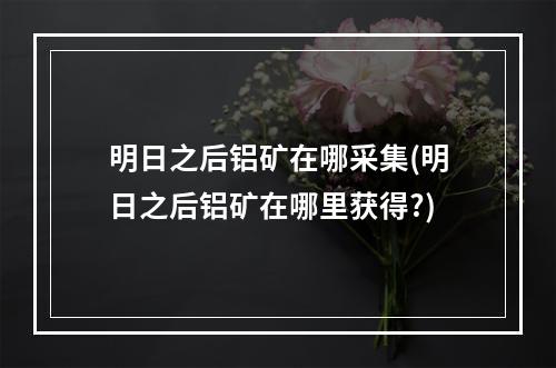 明日之后铝矿在哪采集(明日之后铝矿在哪里获得?)