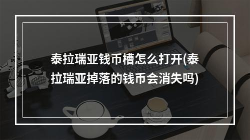 泰拉瑞亚钱币槽怎么打开(泰拉瑞亚掉落的钱币会消失吗)