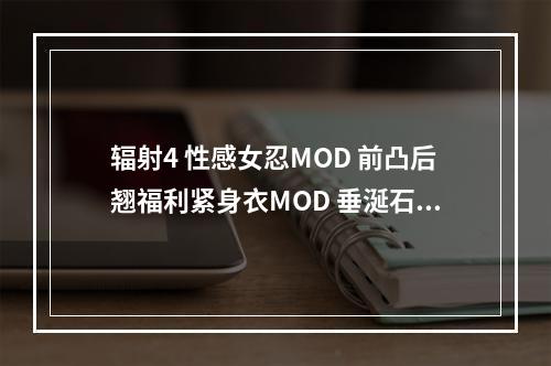 辐射4 性感女忍MOD 前凸后翘福利紧身衣MOD 垂涎石更--游戏攻略网