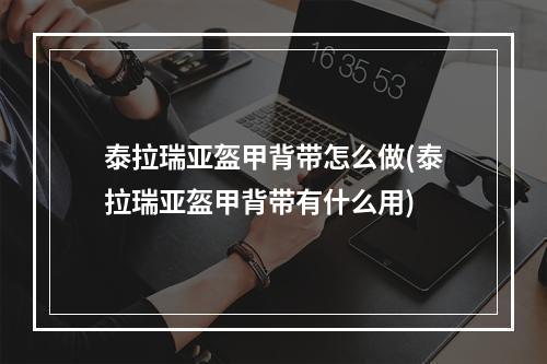 泰拉瑞亚盔甲背带怎么做(泰拉瑞亚盔甲背带有什么用)