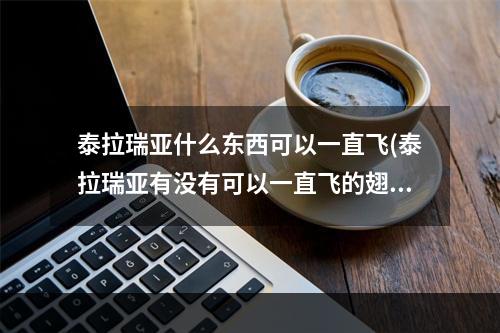 泰拉瑞亚什么东西可以一直飞(泰拉瑞亚有没有可以一直飞的翅膀)