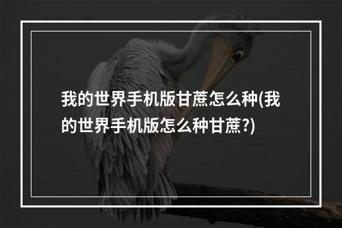 我的世界手机版甘蔗怎么种(我的世界手机版怎么种甘蔗?)