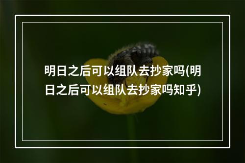 明日之后可以组队去抄家吗(明日之后可以组队去抄家吗知乎)