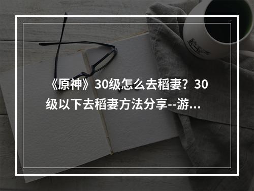 《原神》30级怎么去稻妻？30级以下去稻妻方法分享--游戏攻略网