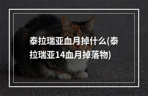 泰拉瑞亚血月掉什么(泰拉瑞亚14血月掉落物)