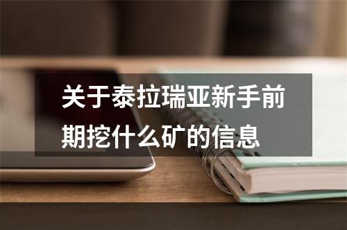 关于泰拉瑞亚新手前期挖什么矿的信息