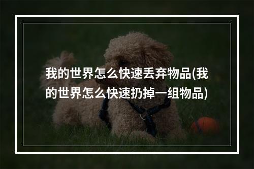 我的世界怎么快速丢弃物品(我的世界怎么快速扔掉一组物品)