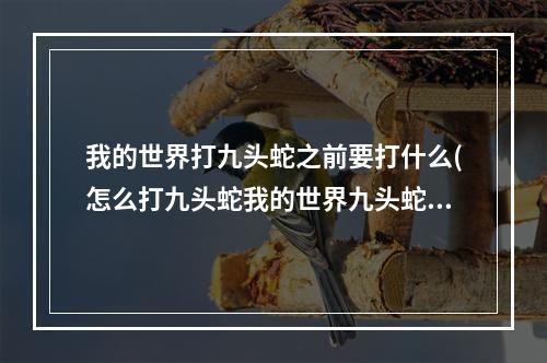 我的世界打九头蛇之前要打什么(怎么打九头蛇我的世界九头蛇在哪)