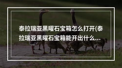 泰拉瑞亚黑曜石宝箱怎么打开(泰拉瑞亚黑曜石宝箱能开出什么)