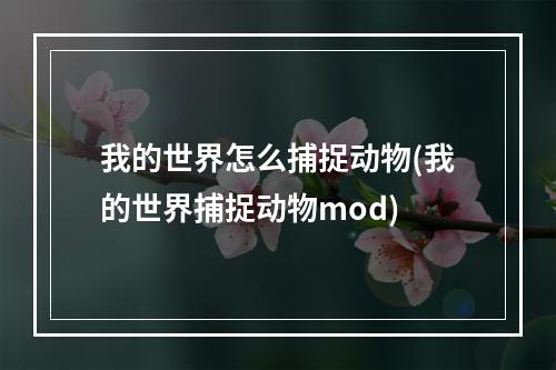 我的世界怎么捕捉动物(我的世界捕捉动物mod)