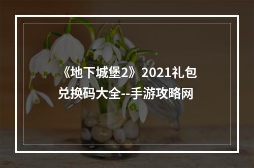 《地下城堡2》2021礼包兑换码大全--手游攻略网