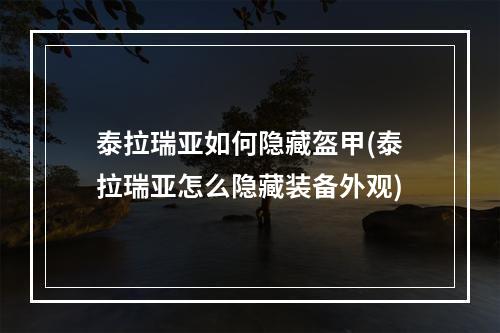 泰拉瑞亚如何隐藏盔甲(泰拉瑞亚怎么隐藏装备外观)