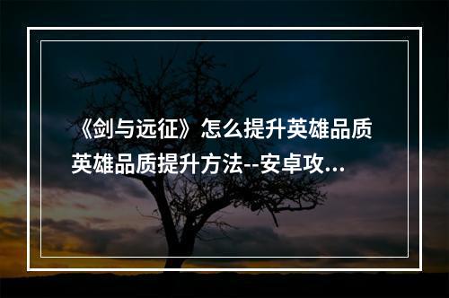 《剑与远征》怎么提升英雄品质 英雄品质提升方法--安卓攻略网