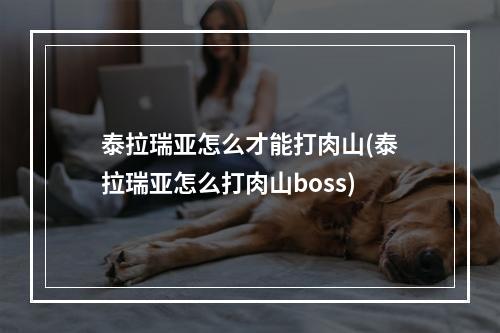 泰拉瑞亚怎么才能打肉山(泰拉瑞亚怎么打肉山boss)