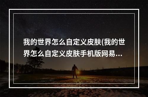 我的世界怎么自定义皮肤(我的世界怎么自定义皮肤手机版网易)