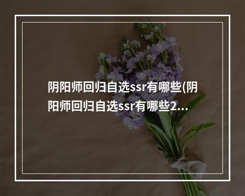 阴阳师回归自选ssr有哪些(阴阳师回归自选ssr有哪些2023)