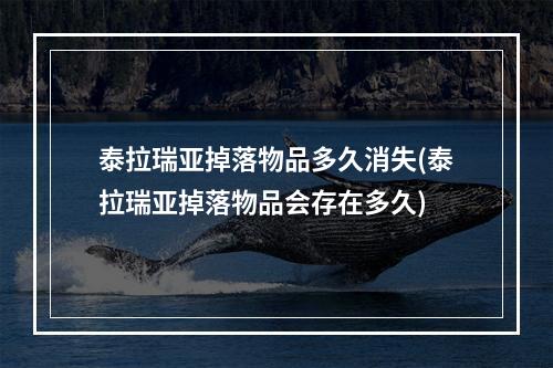 泰拉瑞亚掉落物品多久消失(泰拉瑞亚掉落物品会存在多久)