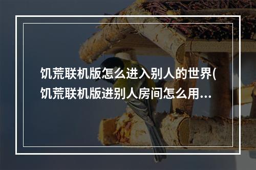 饥荒联机版怎么进入别人的世界(饥荒联机版进别人房间怎么用自己mod)