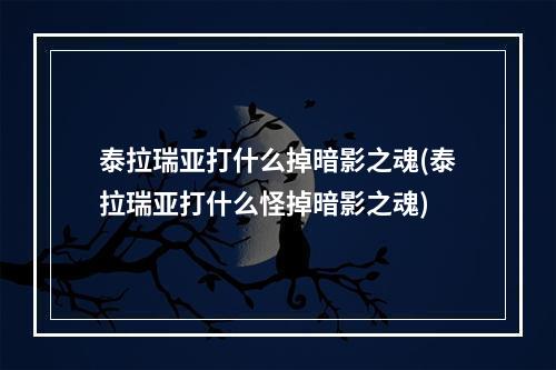 泰拉瑞亚打什么掉暗影之魂(泰拉瑞亚打什么怪掉暗影之魂)