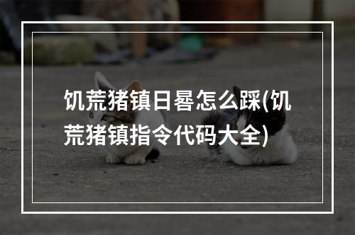 饥荒猪镇日晷怎么踩(饥荒猪镇指令代码大全)