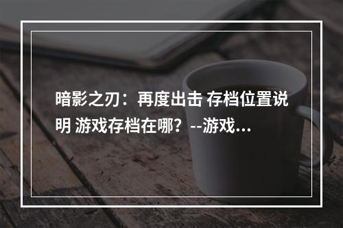 暗影之刃：再度出击 存档位置说明 游戏存档在哪？--游戏攻略网