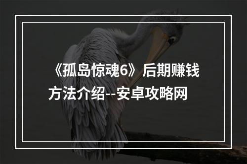 《孤岛惊魂6》后期赚钱方法介绍--安卓攻略网