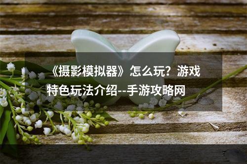 《摄影模拟器》怎么玩？游戏特色玩法介绍--手游攻略网